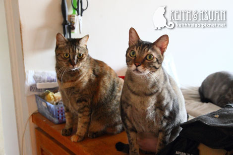 IMG_1813.jpg IMG_1813.jpg