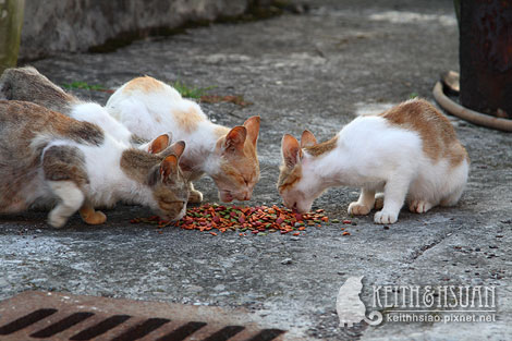 IMG_0756.jpg IMG_0756.jpg