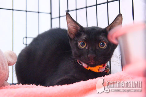 IMG_2591.jpg IMG_2591.jpg