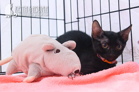 IMG_2597.jpg IMG_2597.jpg