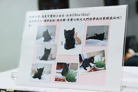 IMG_2601.jpg IMG_2601.jpg