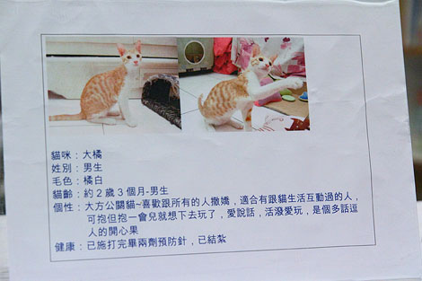 IMG_2602.jpg IMG_2602.jpg