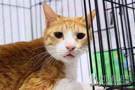 IMG_2603.jpg IMG_2603.jpg