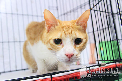 IMG_2618.jpg IMG_2618.jpg