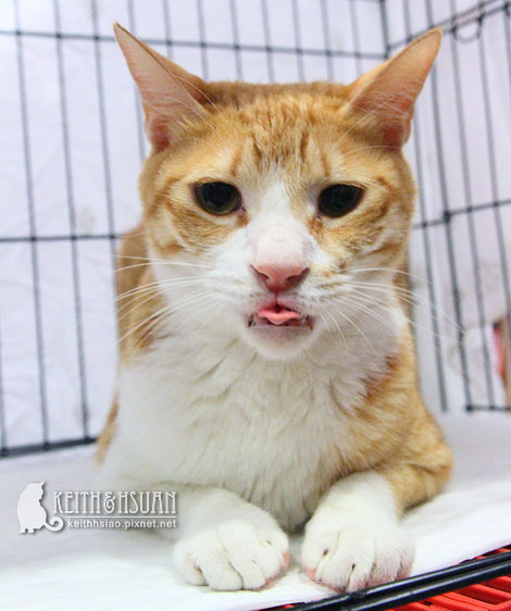 IMG_2630.jpg IMG_2630.jpg