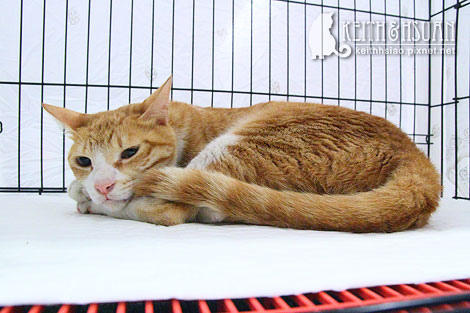 IMG_2644.jpg IMG_2644.jpg