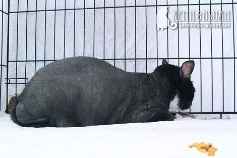 IMG_2650.jpg IMG_2650.jpg