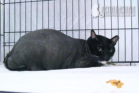 IMG_2652.jpg IMG_2652.jpg