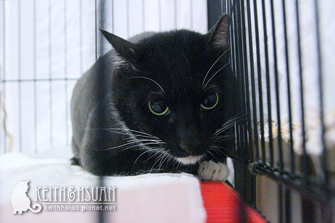 IMG_2657.jpg IMG_2657.jpg