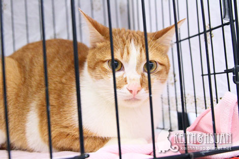 IMG_2661.jpg IMG_2661.jpg