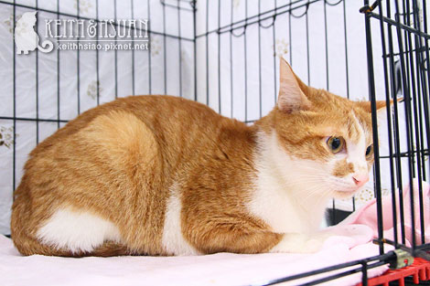 IMG_2662.jpg IMG_2662.jpg