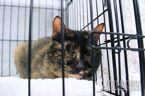 IMG_2696.jpg IMG_2696.jpg