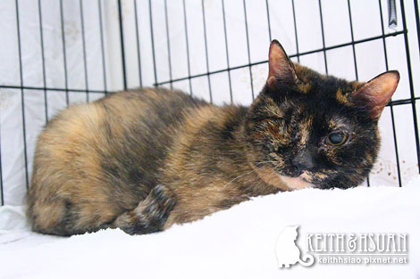 IMG_2703.jpg IMG_2703.jpg