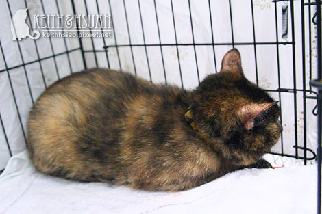 IMG_2709.jpg IMG_2709.jpg