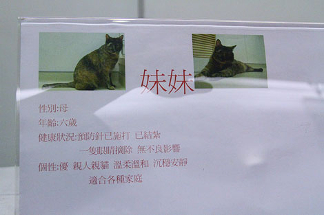 IMG_2711.jpg IMG_2711.jpg