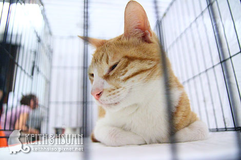 IMG_2719.jpg IMG_2719.jpg