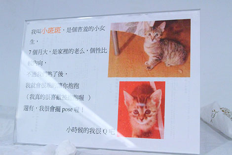 IMG_2724.jpg IMG_2724.jpg