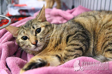 IMG_2734.jpg IMG_2734.jpg