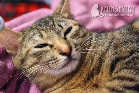 IMG_2738.jpg IMG_2738.jpg