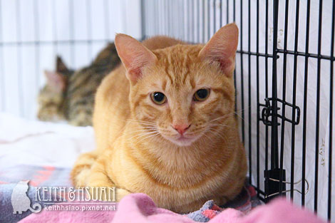 IMG_2744.jpg IMG_2744.jpg