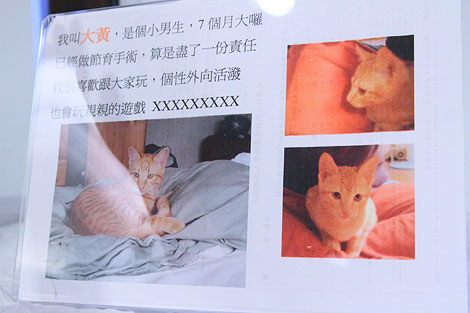 IMG_2746.jpg IMG_2746.jpg