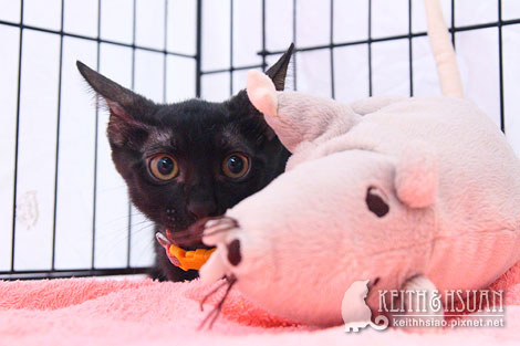 IMG_2747.jpg IMG_2747.jpg