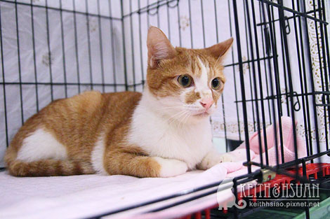 IMG_2776.jpg IMG_2776.jpg