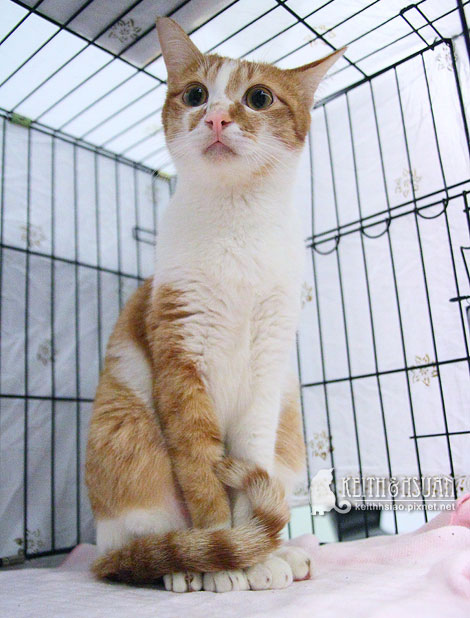 IMG_2784.jpg IMG_2784.jpg