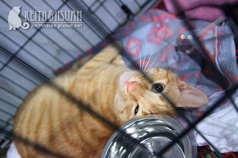 IMG_2786.jpg IMG_2786.jpg