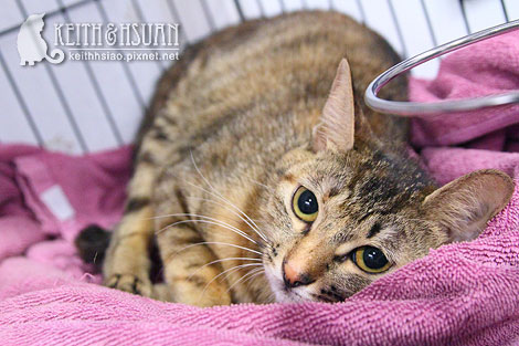 IMG_2789.jpg IMG_2789.jpg