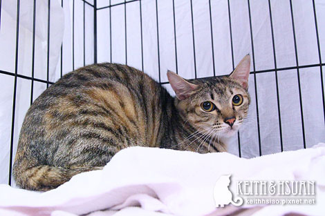 IMG_2806.jpg IMG_2806.jpg