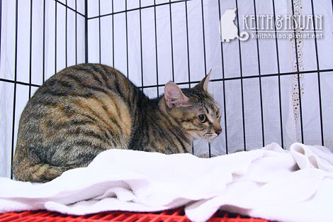 IMG_2814.jpg IMG_2814.jpg