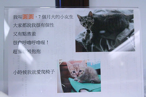 IMG_2826.jpg IMG_2826.jpg