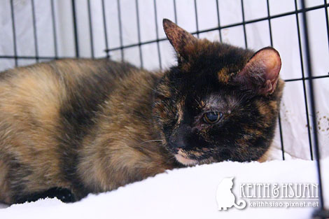 IMG_2837.jpg IMG_2837.jpg