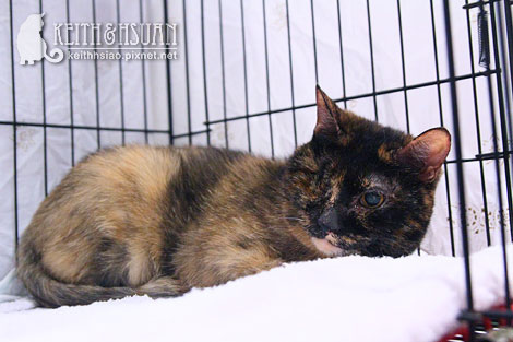 IMG_2844.jpg IMG_2844.jpg