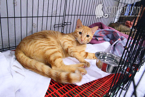 IMG_2858.jpg IMG_2858.jpg