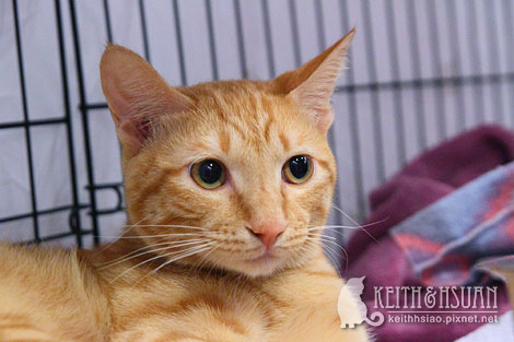 IMG_2864.jpg IMG_2864.jpg