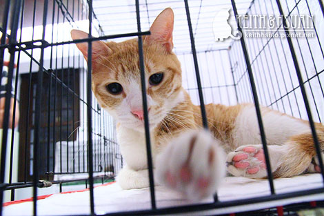 IMG_2868.jpg IMG_2868.jpg