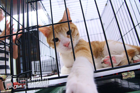 IMG_2869.jpg IMG_2869.jpg