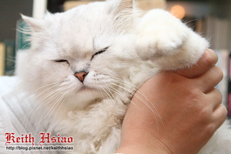 IMG_0896.jpg IMG_0896.jpg