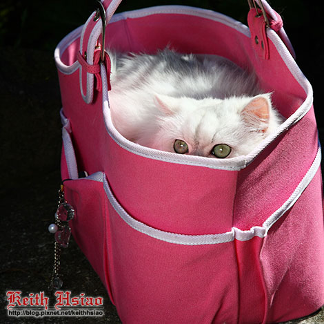 IMG_0716.jpg IMG_0716.jpg