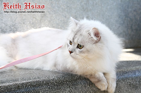 IMG_0723.jpg IMG_0723.jpg