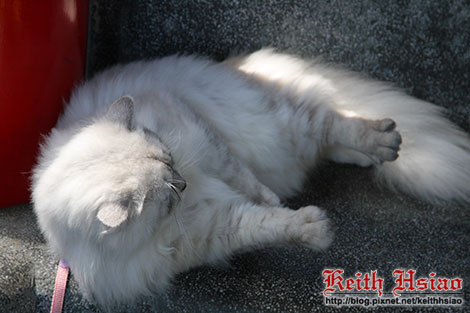 IMG_0734.jpg IMG_0734.jpg