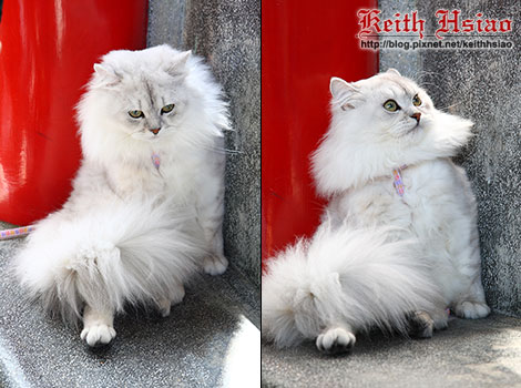 IMG_0746.jpg IMG_0746.jpg