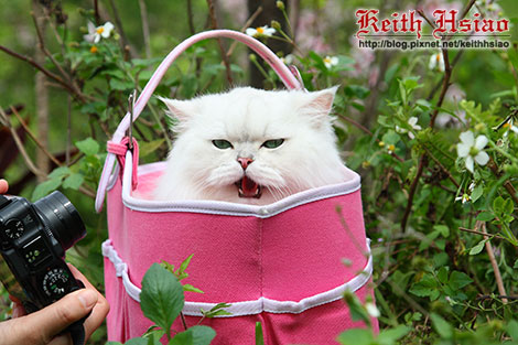 IMG_0767.jpg IMG_0767.jpg