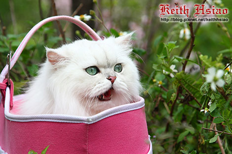 IMG_0770.jpg IMG_0770.jpg