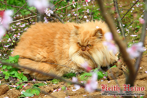 IMG_0816.jpg IMG_0816.jpg