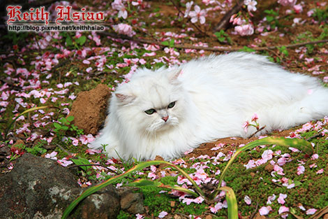 IMG_0818.jpg IMG_0818.jpg