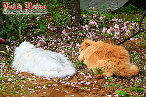 IMG_0825.jpg IMG_0825.jpg