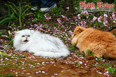 IMG_0830.jpg IMG_0830.jpg